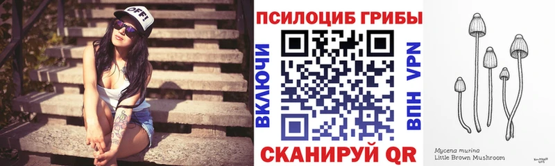 Псилоцибиновые грибы GOLDEN TEACHER  Власиха 