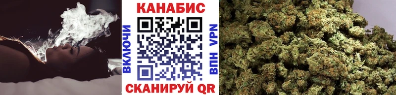Конопля гибрид Власиха